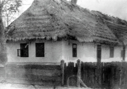 Tradičný dom